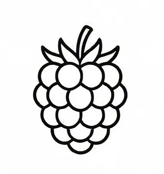 a black and white drawing of a bunch of grapes.webp